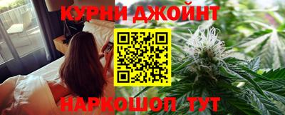 МДПВ Кингисепп