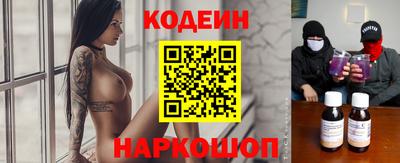 МДПВ Кингисепп